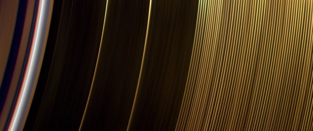 The Golden Record (Image courtesy of Wildcard Distribution)