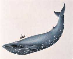 Largest Mamalin the World